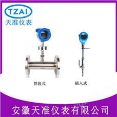 TZ-RF20天準(zhǔn)防爆型熱式氣體質(zhì)量流量計(jì)