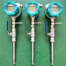 熱式氣體質量流量計