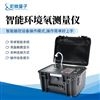 智能環(huán)境氡測量儀