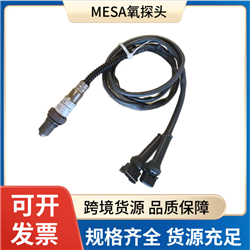 齐全德国MESA氧探头