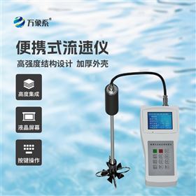 LS300-B便携式直读流速仪