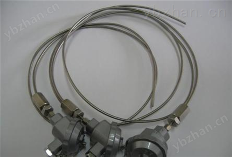 鎧裝熱電偶WREKJ-138 E L=1200