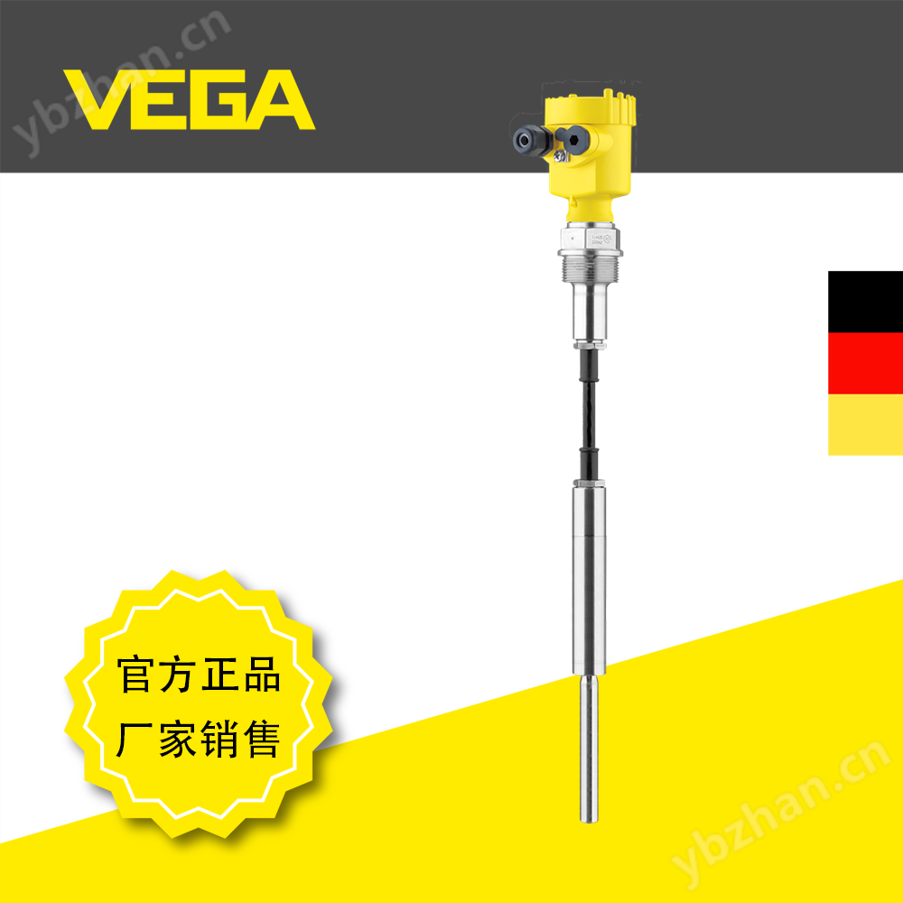 VEGAVIB 62威格振動料位開關(guān)帶延長纜