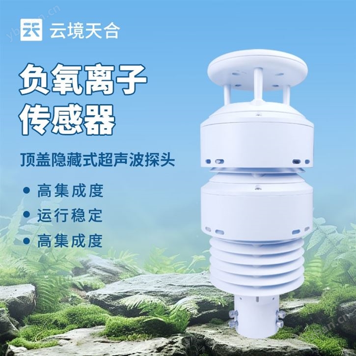 負(fù)離子檢測器