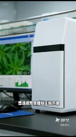 連續觀察植物生物節律