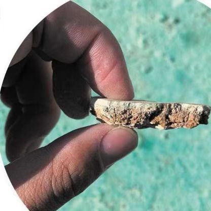 新型結(jié)殼抑塵劑是一種環(huán)保的控塵劑