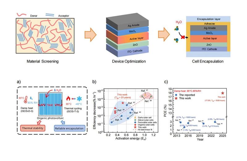 йƴлʪȺѭ˻ȶоȡͻ