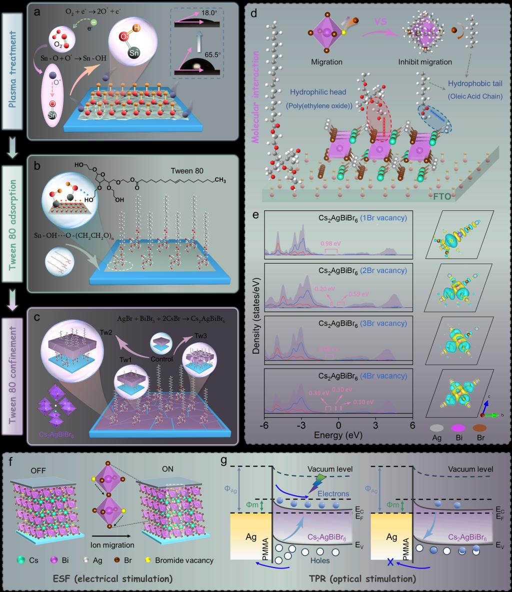 西安交大邵金友、孙柏教授团队在钙钛矿基光电忆阻器领域取得重要进展