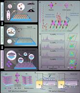 西安交大邵金友、孙柏教授团队在钙钛矿基光电忆阻器领域取得重要进展