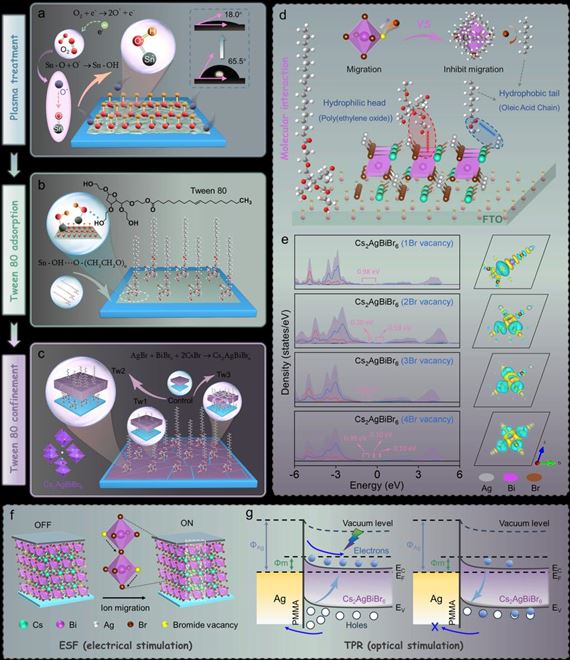 西安交大邵金友、孙柏教授团队在钙钛矿基光电忆阻器领域取得重要进展