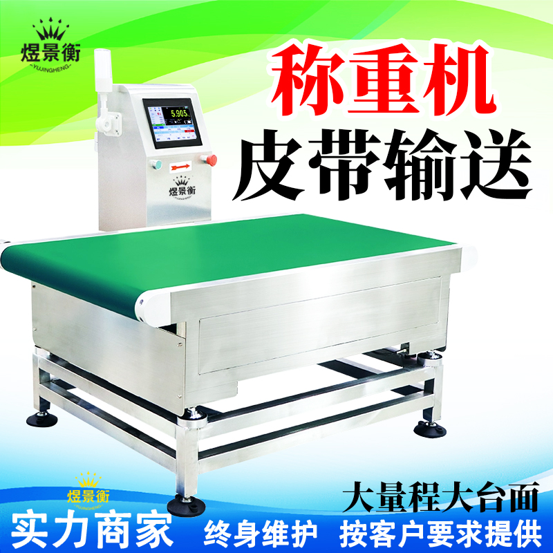 食品自动检重高精度皮带秤应用场景