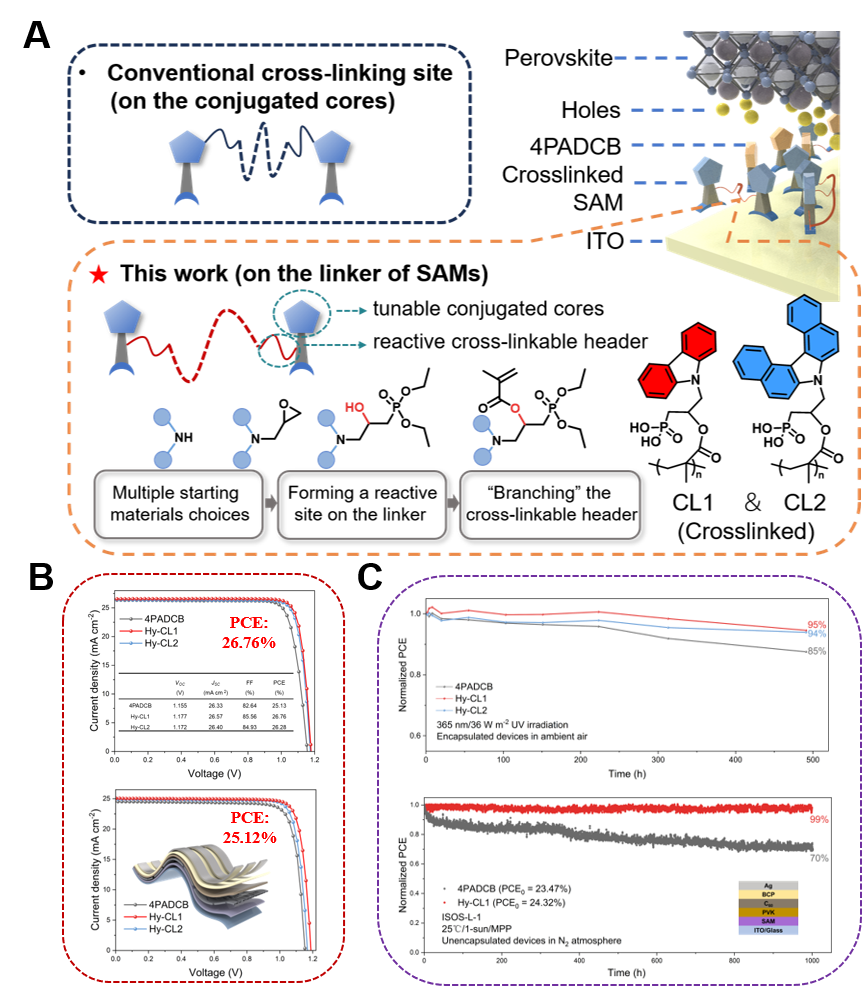 Science Advances｜宁波材料所在高效稳定钙钛矿太阳能电池制备方面取得进展