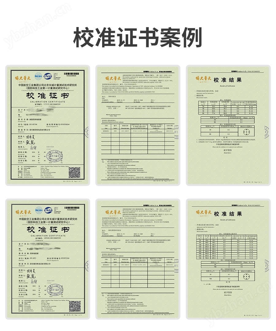 浴式面源黑体辐射源 DY-HT1M-Y