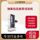 弹簧拉压疲劳试验机  符合标准