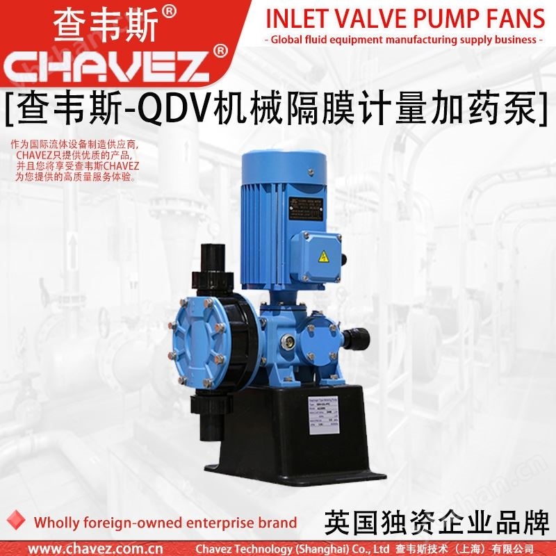 电磁隔膜式计量泵  进口  加药泵 查韦斯