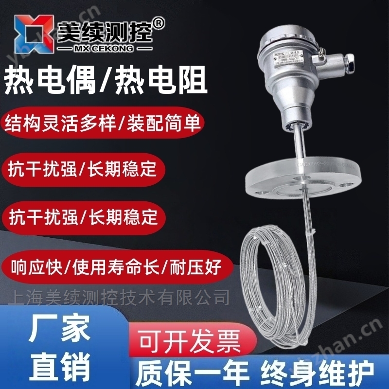 Thermistor/thermocouple