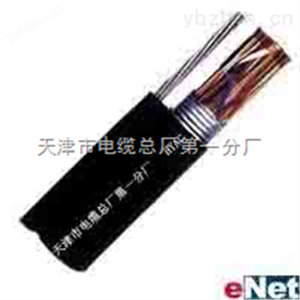 廠家供應(yīng)DJYPVR儀表信號電纜
