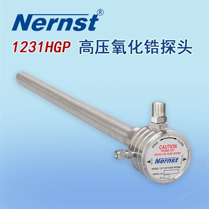 高壓型氧化鋯探頭