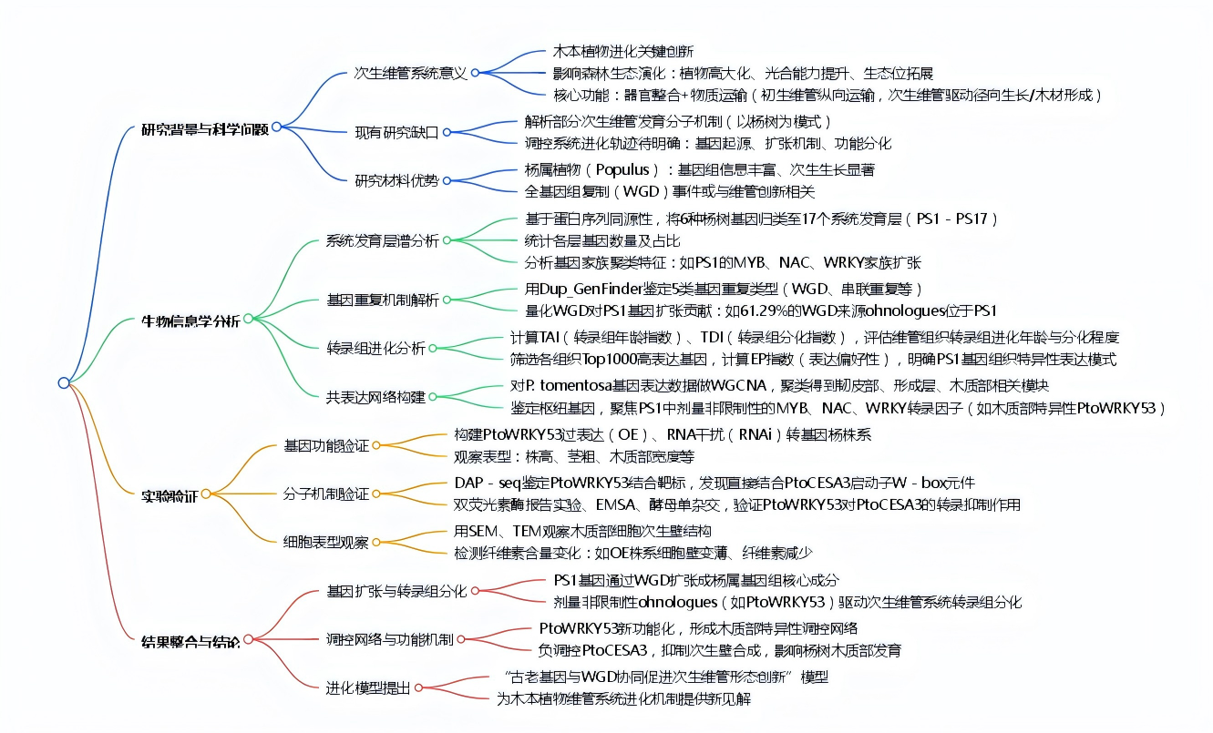 DAP-seq助力揭示杨树次生维管系统发育遗传调控机制