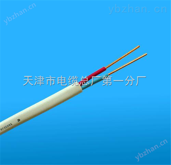天津*ZRA-DJYVP10*2*1.5計算機電纜